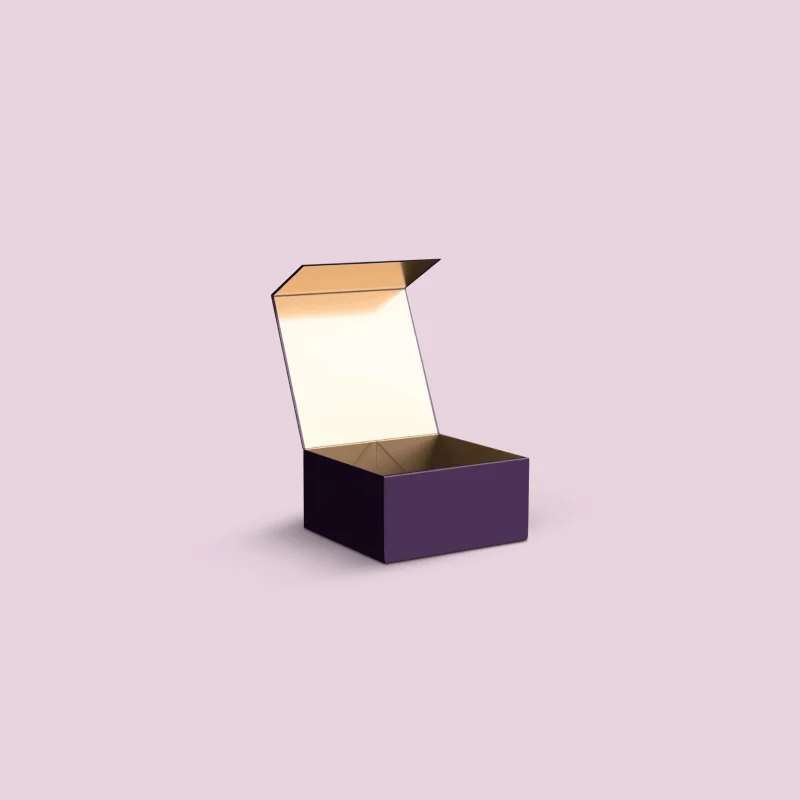 Rigid collapsible Boxes
